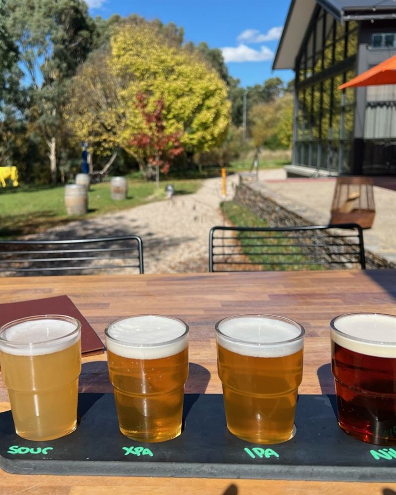 A tasting paddle of four craft beers on a sunny deck