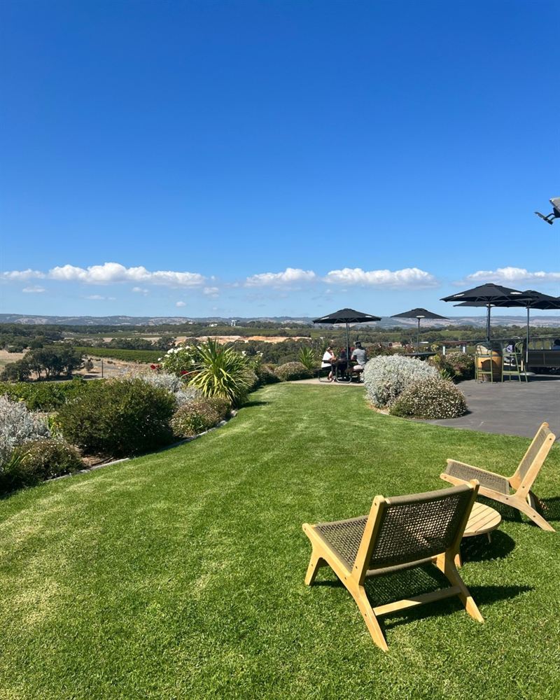 a pair of yellow deck chairs sit on a green lawn under a bright blue sky overlooking a vineyard