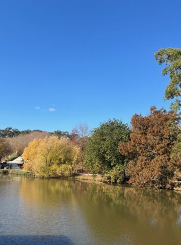 Autumn trees beside a lake in the Adelaide Hills