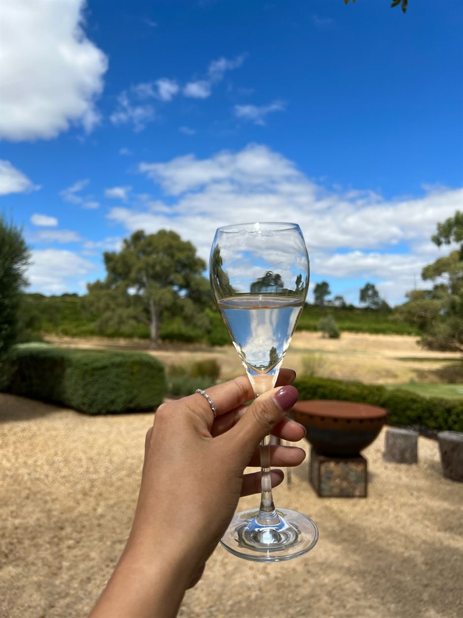 A glass of white wine held up in a sunny winery garden