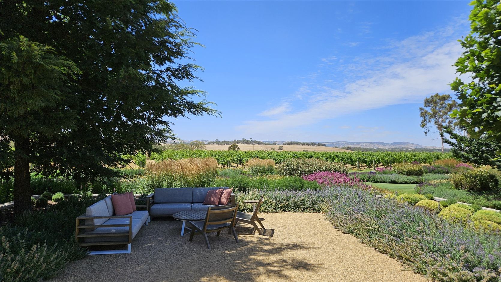 An outdoor lounge among lavender in a Barossa winery garden