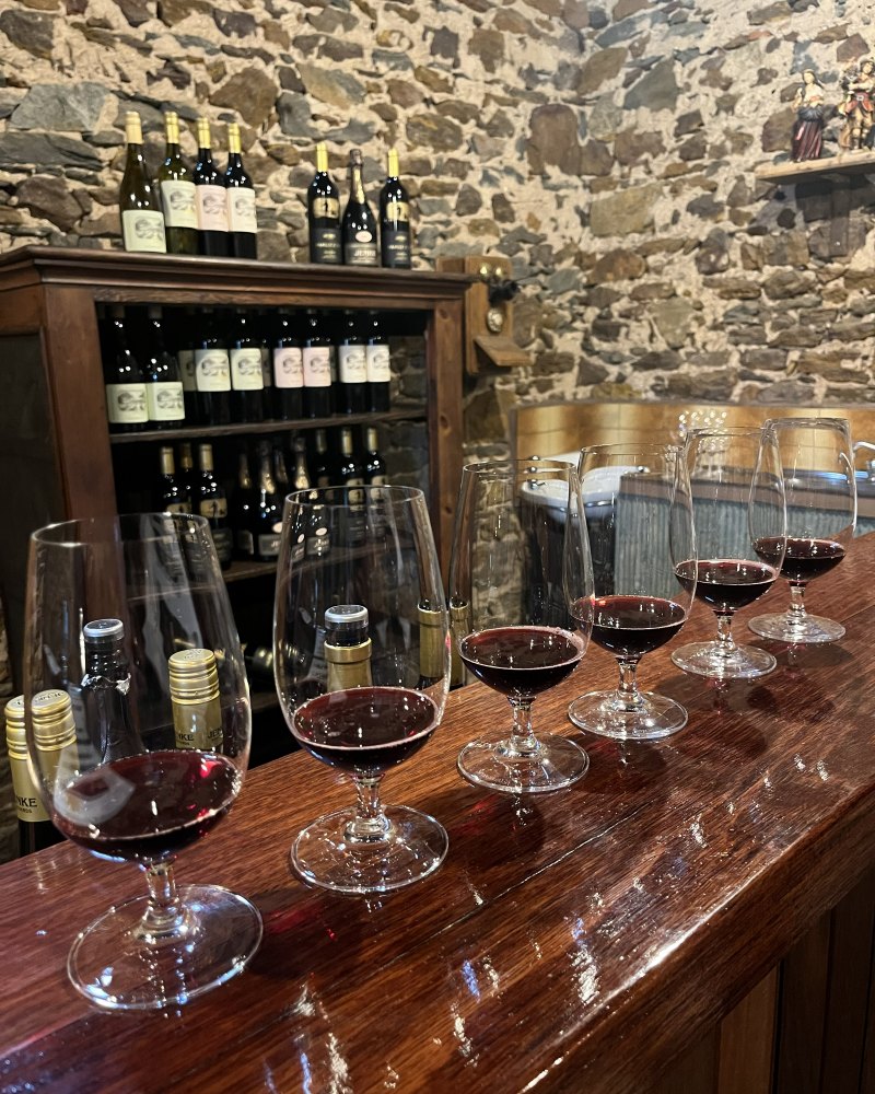 glasses of red wine lined up on a stone cellar door bar